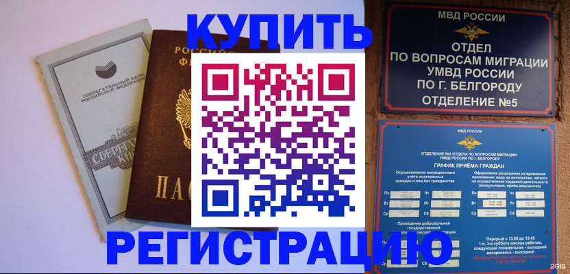 прописка гарантия в Мурманской области